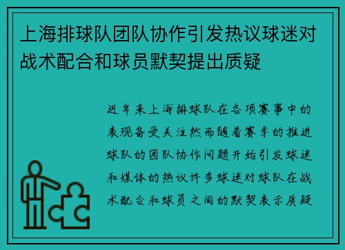 上海排球队团队协作引发热议球迷对战术配合和球员默契提出质疑