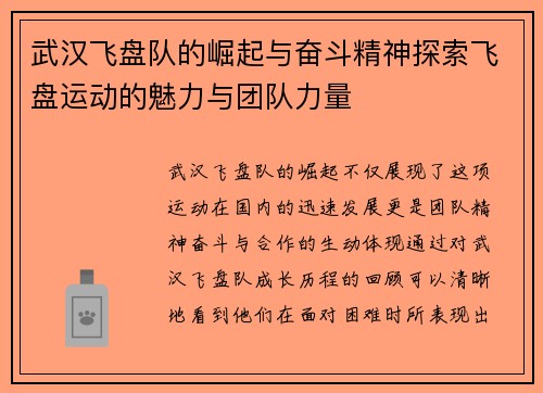 武汉飞盘队的崛起与奋斗精神探索飞盘运动的魅力与团队力量